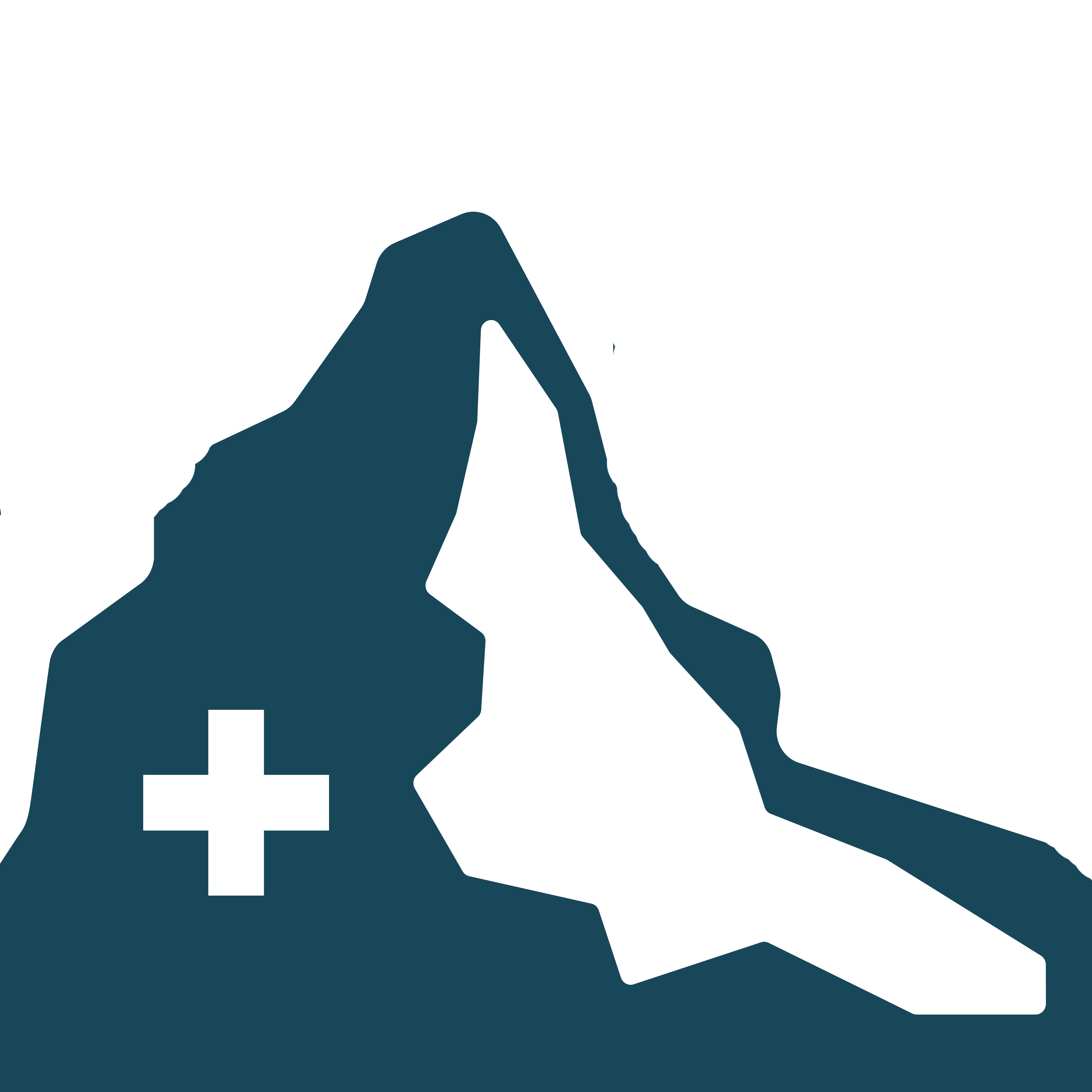 Mountain Camp logo